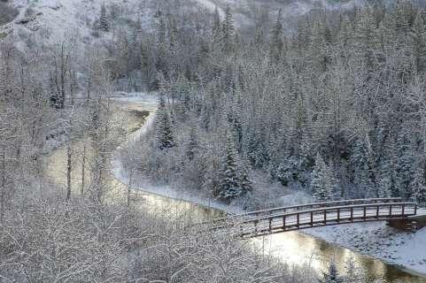 Winter scenery in Fish Creek Park, Alberta