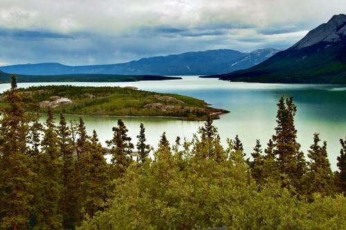 Yukon River Landscape 