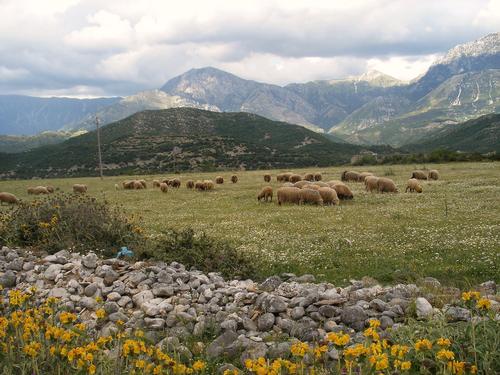 Albania Landscape