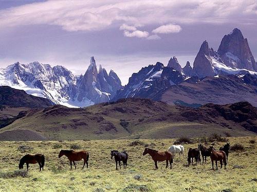 Patagonia Argenyina