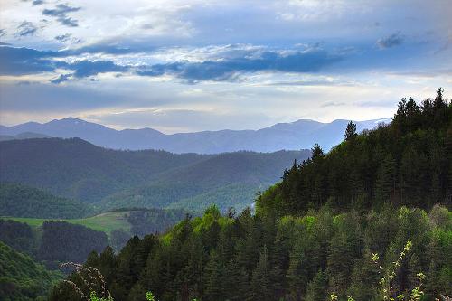 Dilijan National Park Armenia