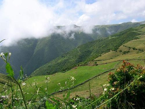 Green landscape in São Jorge, Azores 