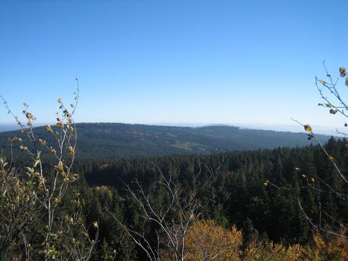 Fichtelgebirge in Bavaria is covered with dense forests