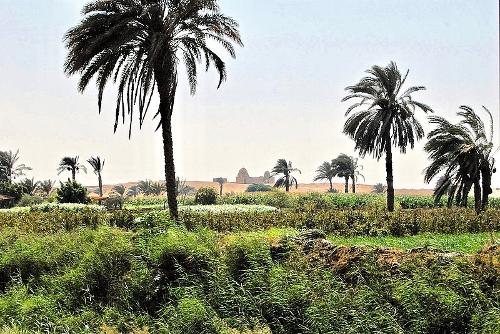 Oasis al-fayyum Egypt