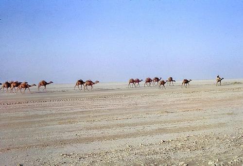 Desert Afghanistan