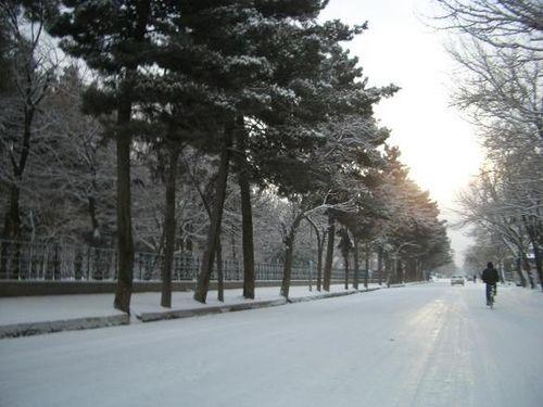 Street in Kabul covered with snow