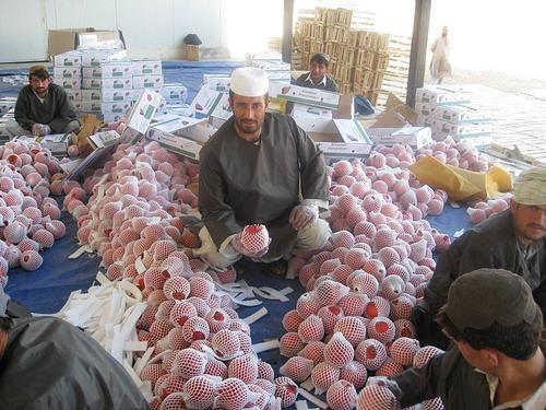 Afghanistan Pomegranates