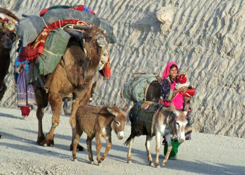 Kuchi nomads in Afghanistan are always on the go 