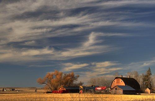 Grain farm northwest of Edmonton, Canada