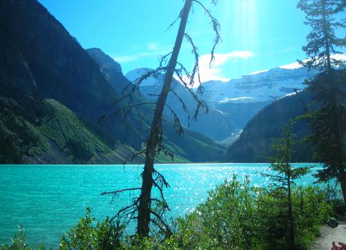  One of the most beautiful lakes: Lake Louise 
