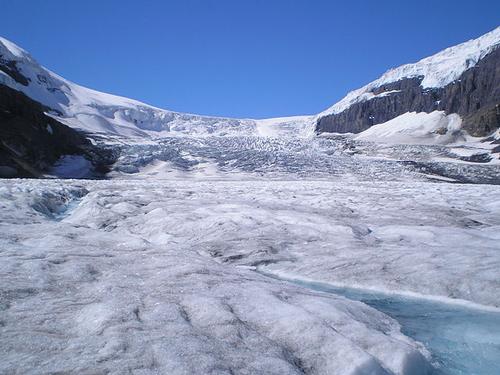 Athabasca Glacier, Alberta