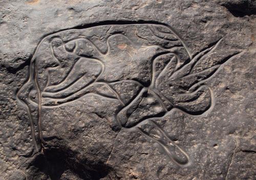  Sleeping Antelope, petroglyph found on the Tassili n'Ajjer Plateau, Southeast Algeria 