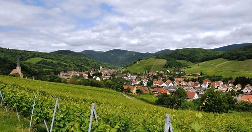 Alsace Landscape