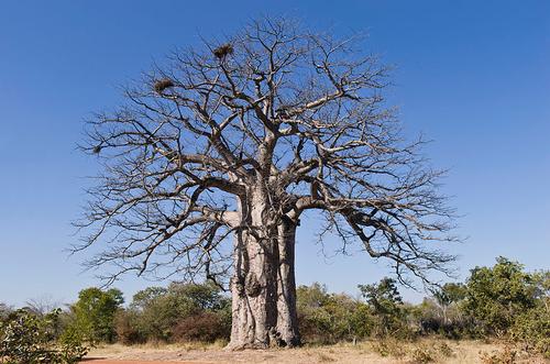 Angola Iona National Park