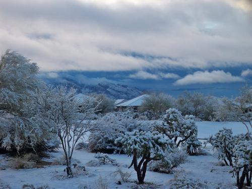 Heavy snow in Oro Valley, Southern Arizona just north of Tucson 
