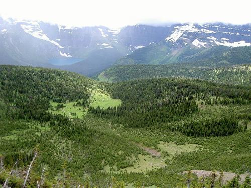 Alpine meadows Austria