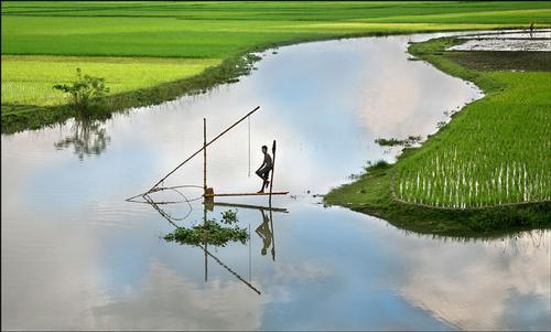 Bangladesh Fishing