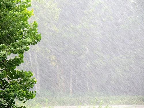 Bangladesh Monsoon downpours