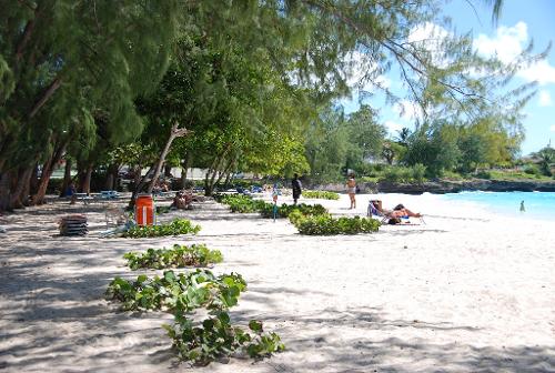 Miami Beach Barbados