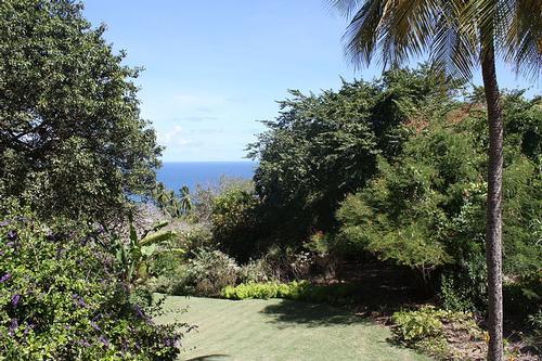 Andromeda Botanical Gardens Barbados 