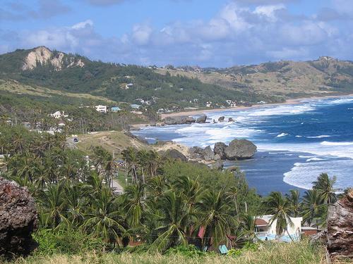 Barbados Landscape