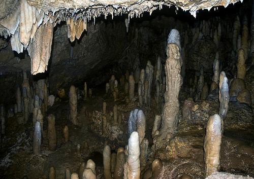 Harrison's Cave Barbados 