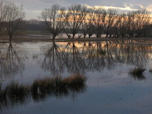 Bourgoyen sunset 