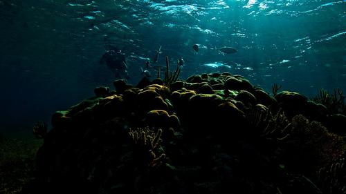 Belize Underwater World