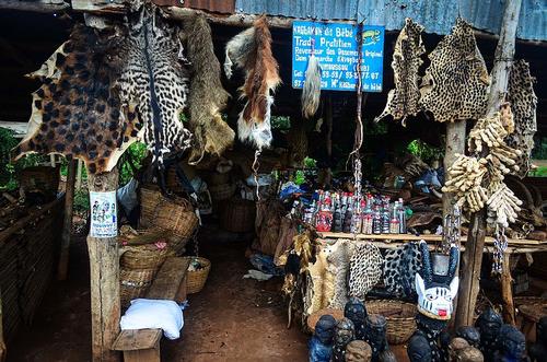 Benin Market