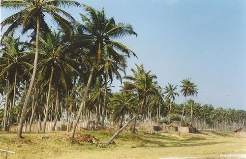 Grand Popo Beach Benin 