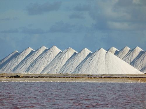 Bonaire Salt Pans