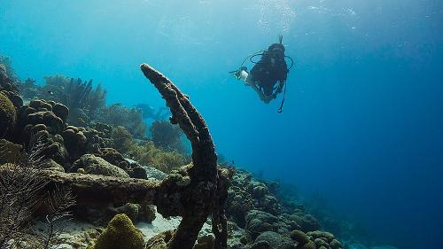 Bonaire Diving Tourism