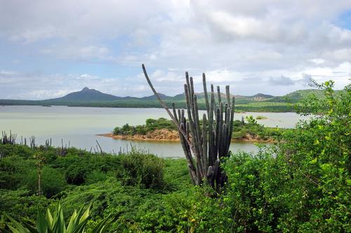 Bonaire Landscape