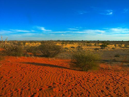 Botswana Landscape 
