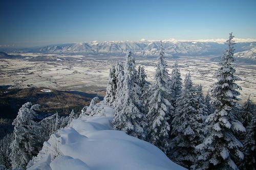 Winter landscape from Elk Mountain in British Columbia Winter 