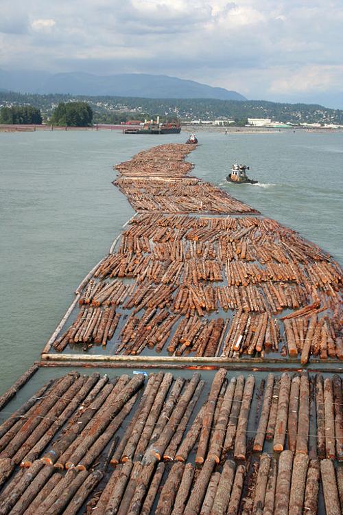 Wood Transportation Near Vancouver, British Columbia