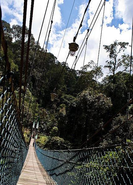 Brunei Ulu Temburong National Park