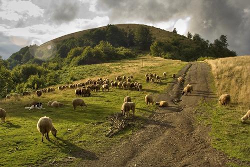 Stara Planina Bulgaria