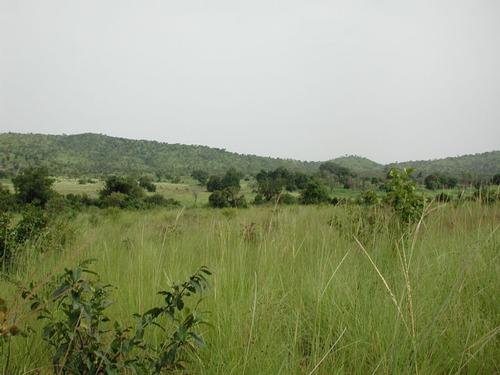 Burkina Faso Landscape