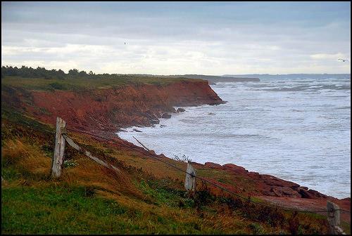 Coastal landscape Cavendish, Prince Edward Island 