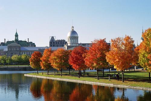 Autumn colours in Montréal, Quebec 