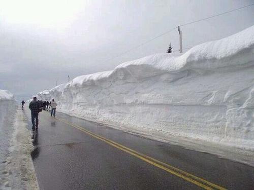 Snow wall Cape Breton Highlands, Nova Scotia, Canada 