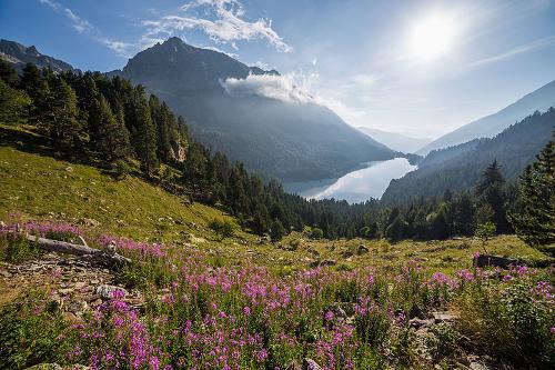 Catalonia Landscape