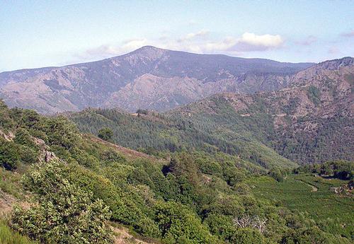 Eastern slope of Mont Aigoua