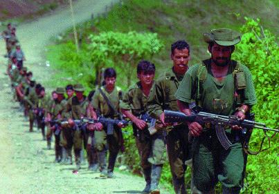 Farc Fighters Colombia 
