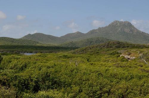 St. Christoffelberg, Curaçao