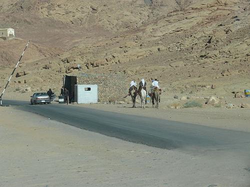 Egyptian bedouins in the Sinaï