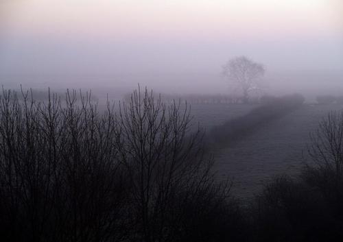 Foggy Fields in Yorkshire England