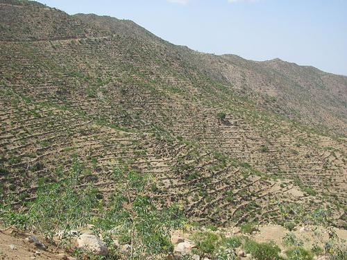 Terrace mountains in Eritrea
