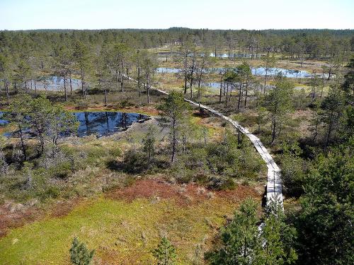 Lahemaa national park, Estonia